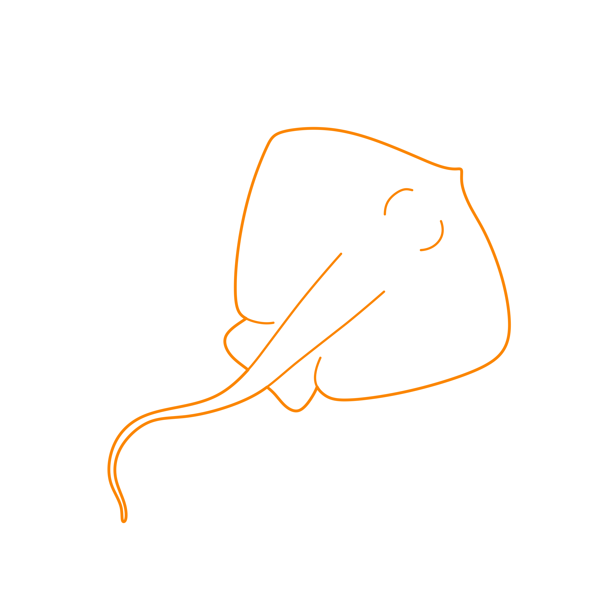 Animals Rays Common Stingray Sketch Drawing Svg Free Vectors